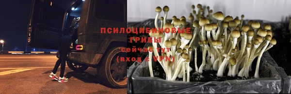 меф Алапаевск