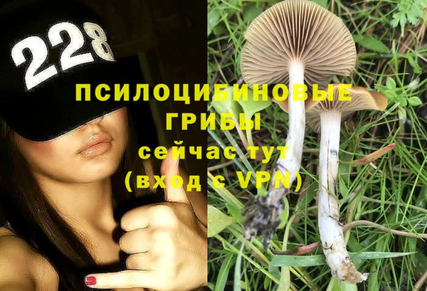 стафф Аксай