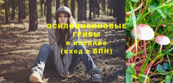 Альфа ПВП Алагир