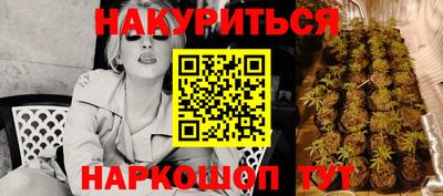 прущая мука Гай