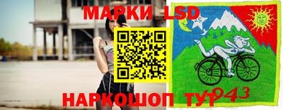 Альфа ПВП Гатчина