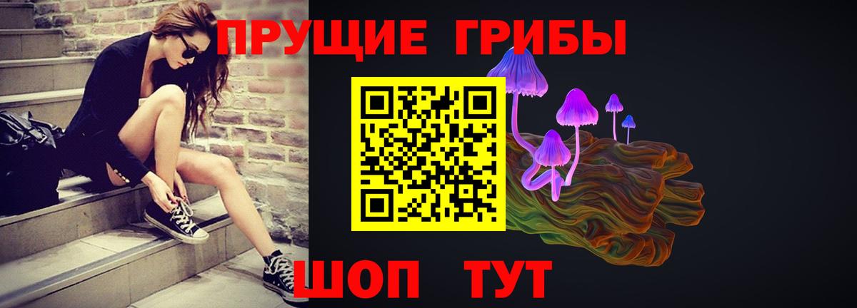 Донецк  Псилоцибиновые грибы прущие грибы  Псилоцибиновые грибы Psilocybe  Вход с VPN 